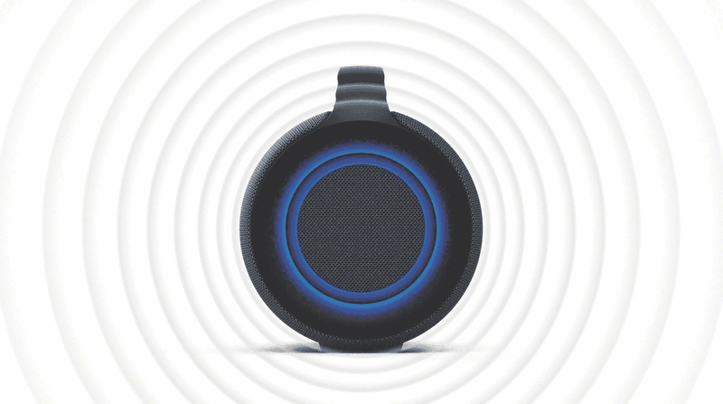 Sony Portable Party Speaker