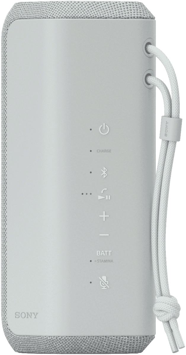 Sony X-Series Portable Wireless Speaker - Grey