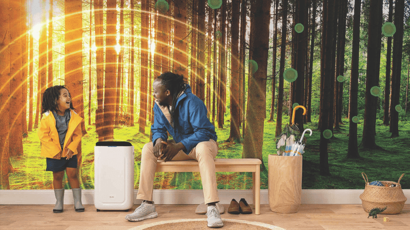 Breville The Smart Dry 2-in-1 Viral Protect Dehumidifier