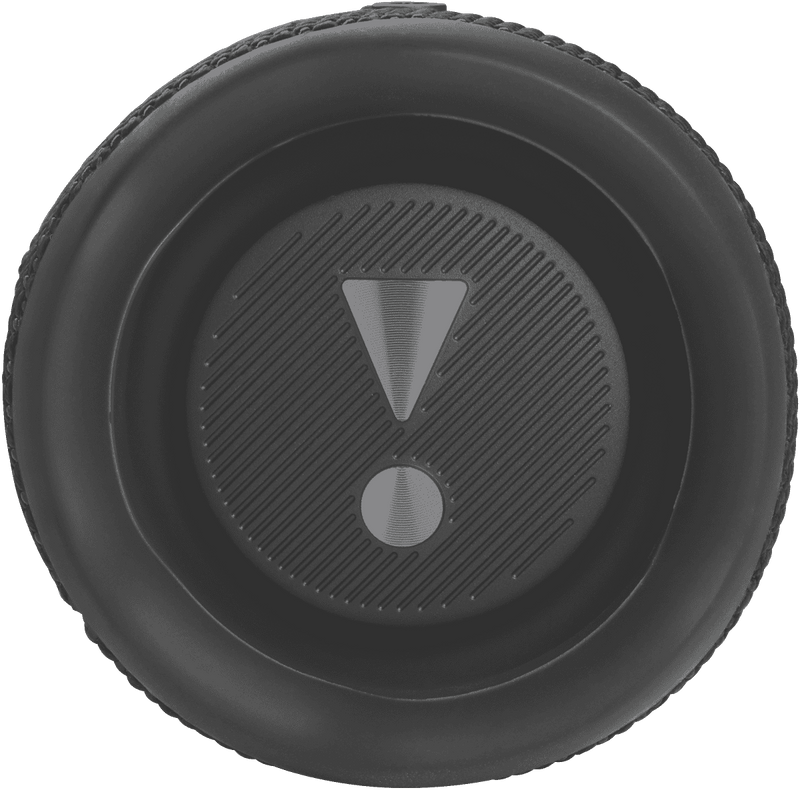 JBL Flip 6 Portable Speaker