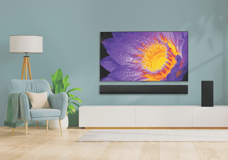 LG 55" OLED EVO G4 4K Smart TV 24