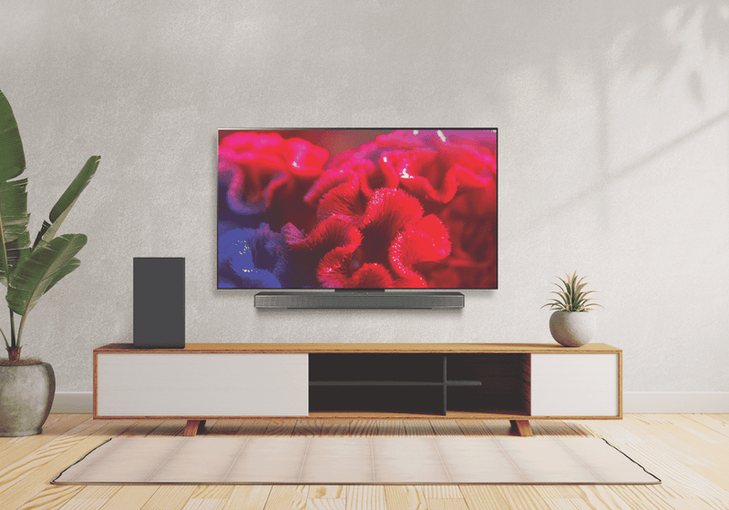 LG 65" OLED EVO C4 4K Smart TV 24