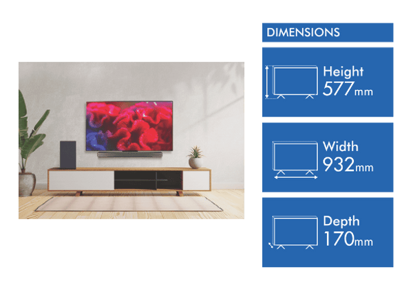 LG 42" OLED EVO C4 4K Smart TV 24