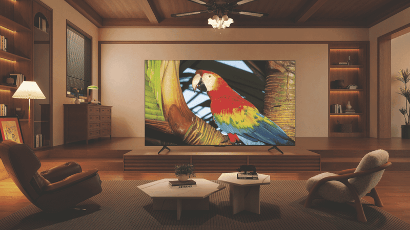 TCL 65" C655 QLED Google TV 24