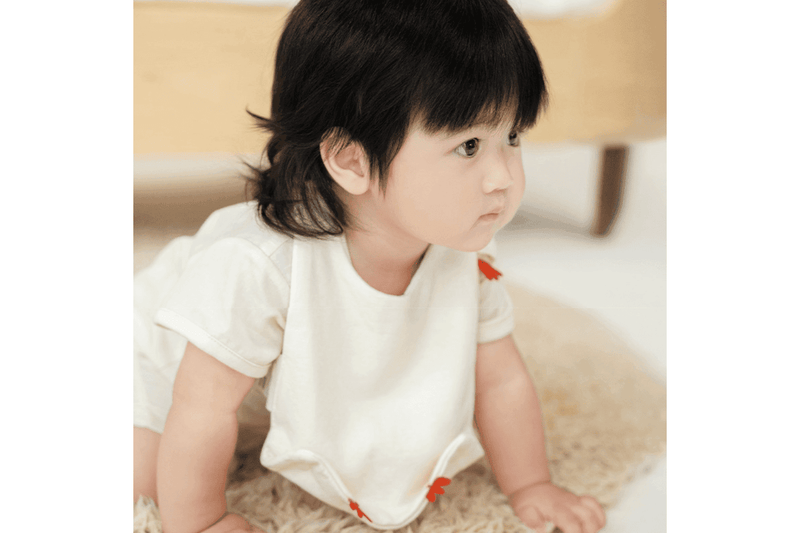Lazy Goose Baby Cotton Bib