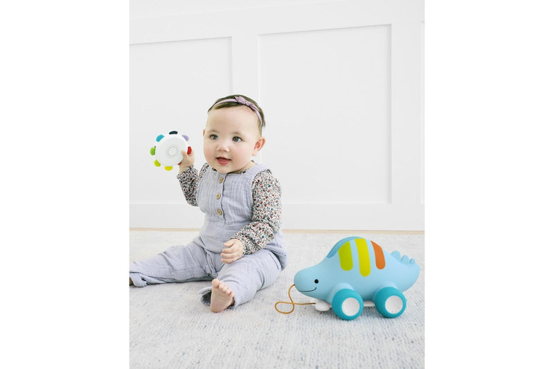 Skip Hop: Explore & More Dinosaur 3-in-1 Musical Pull Toy