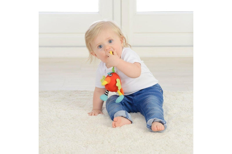 Dolce: Shaker Activity Toy - Parrot