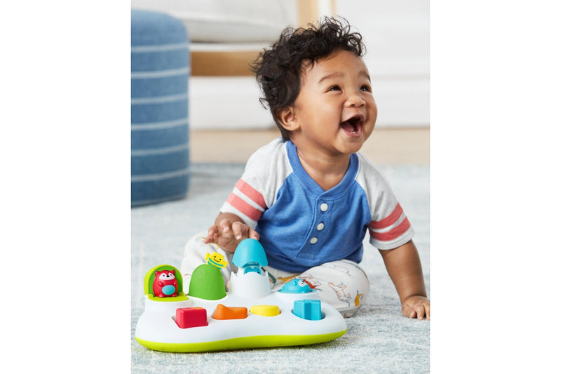 Skip Hop: Explore & More Pop-Up Toy