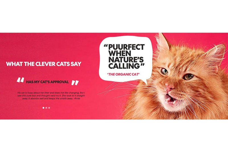 Portable Cat LItter Box 2x 3L Cat Litter Value Pack Absorbent 100% Biodegradable