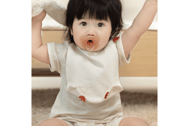 Lazy Goose Baby Cotton Bib