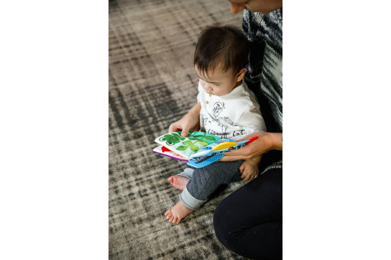 Baby Einstein - Basic Teether Book