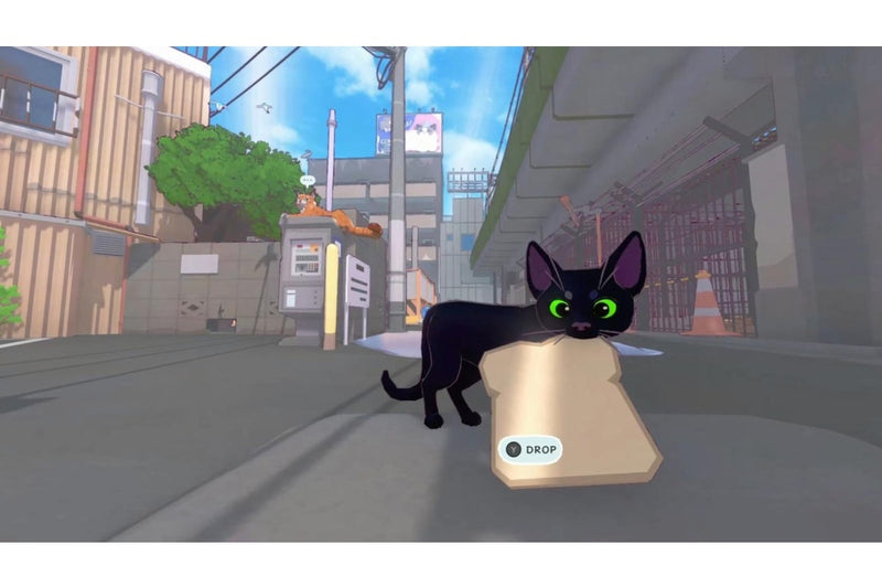 Little Kitty Big City