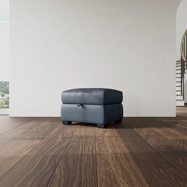 DEXTER Leather Storage Ottoman