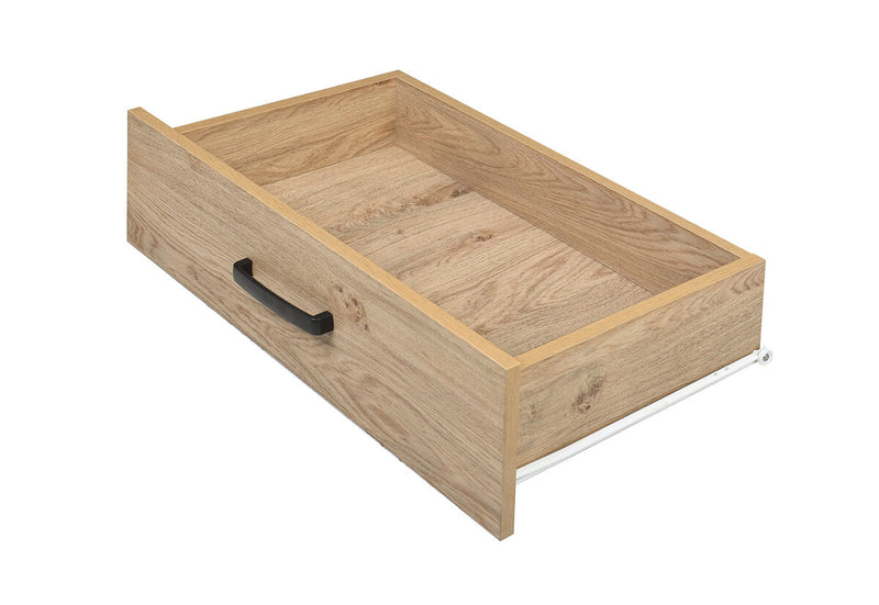 PROCTOR Entertainment Unit