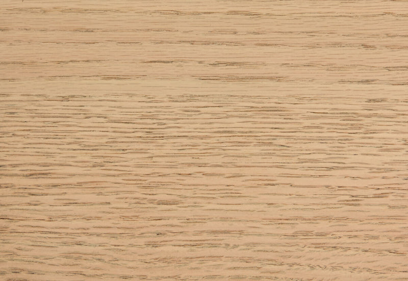 REINE Entertainment Unit