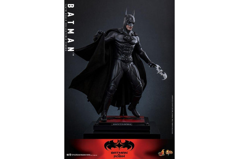DC Comics: Batman (Batman & Robin) - 12" Action Figure
