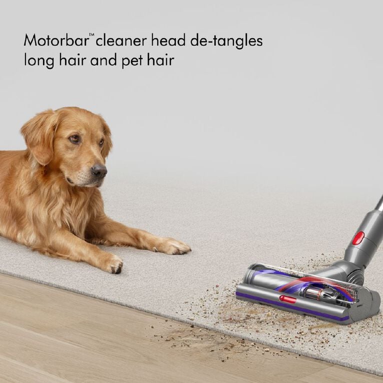 Dyson V15 Detect Absolute Cordless Vacuum 2026