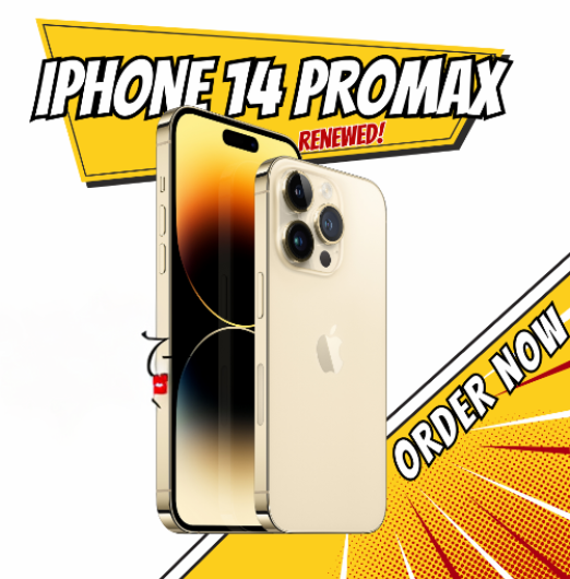 Apple iPhone 14 PRO MAX 256GB Gold (Renewed)