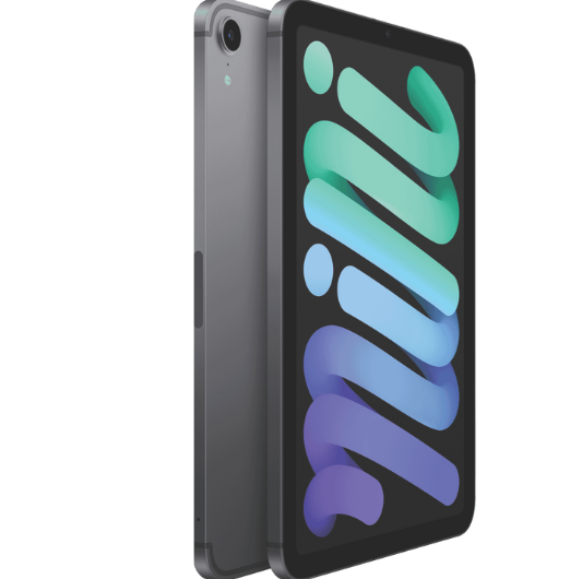 Apple iPad mini (6th Gen) 256GB WiFi+Cell Space Grey
