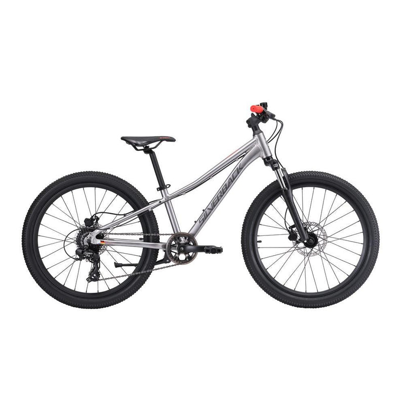 Silverback Spyke SE 24'' Kids Mountain Bike Moondust Metallic