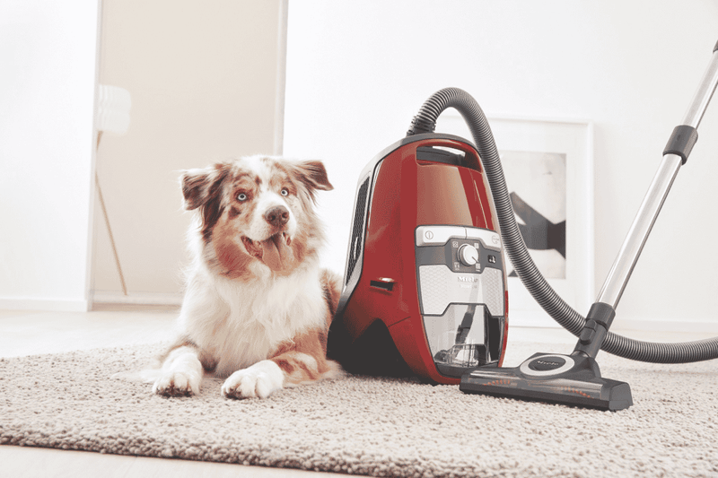 Miele Blizzard CX1 Cat & Dog Bagless Vacuum