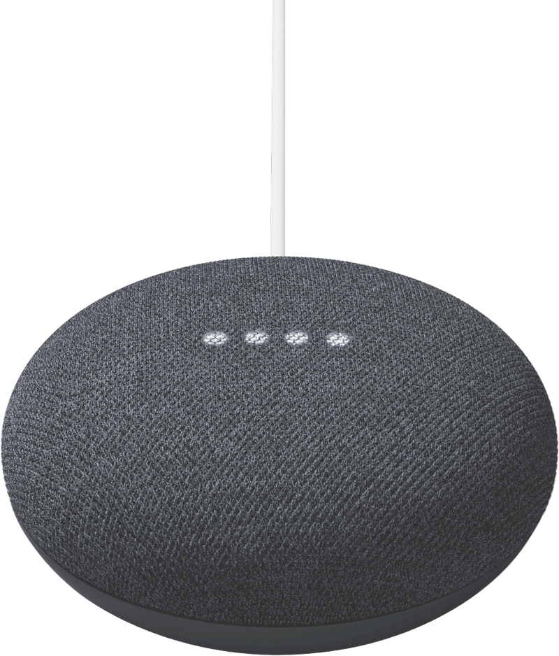 Google Nest Mini (Charcoal)