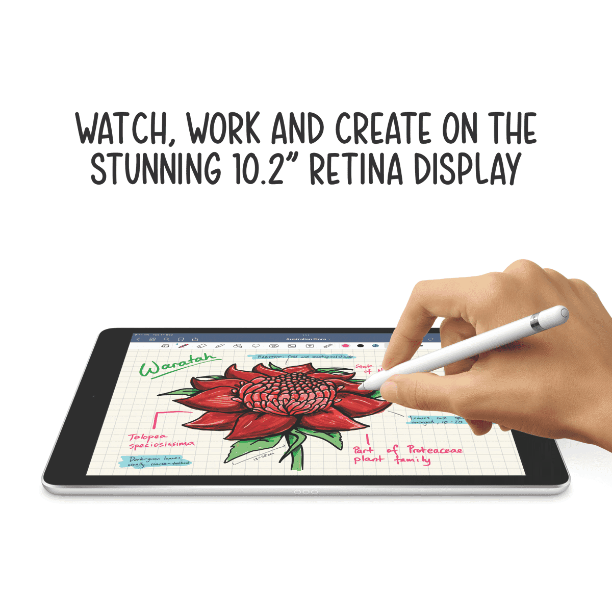 Apple iPad 10.2" (9th Gen) 256GB WiFi+Cell Space Grey - Layaway AU