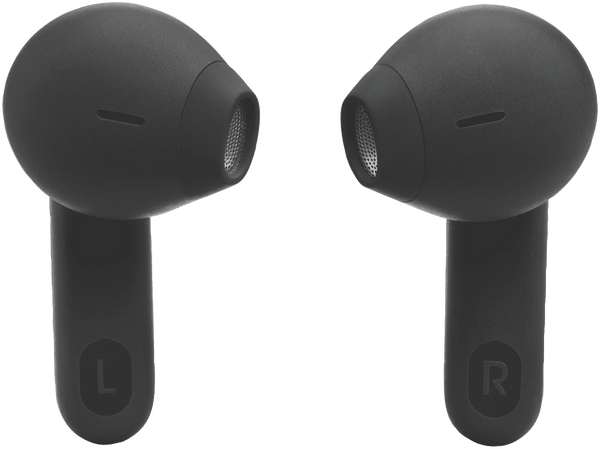 JBL Tune Flex Noise Cancelling Earbuds