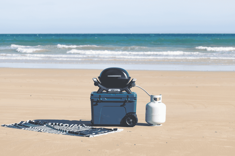 Weber Baby Q1000N LP Midnight Black