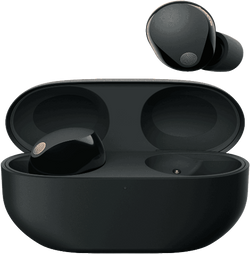 Sony Premium Noise Cancelling Earbuds