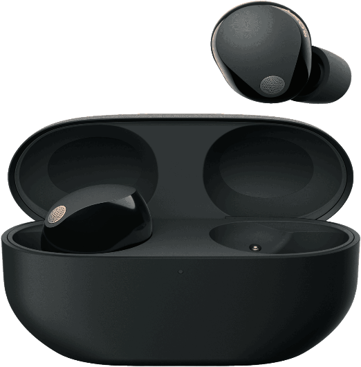 Sony Premium Noise Cancelling Earbuds