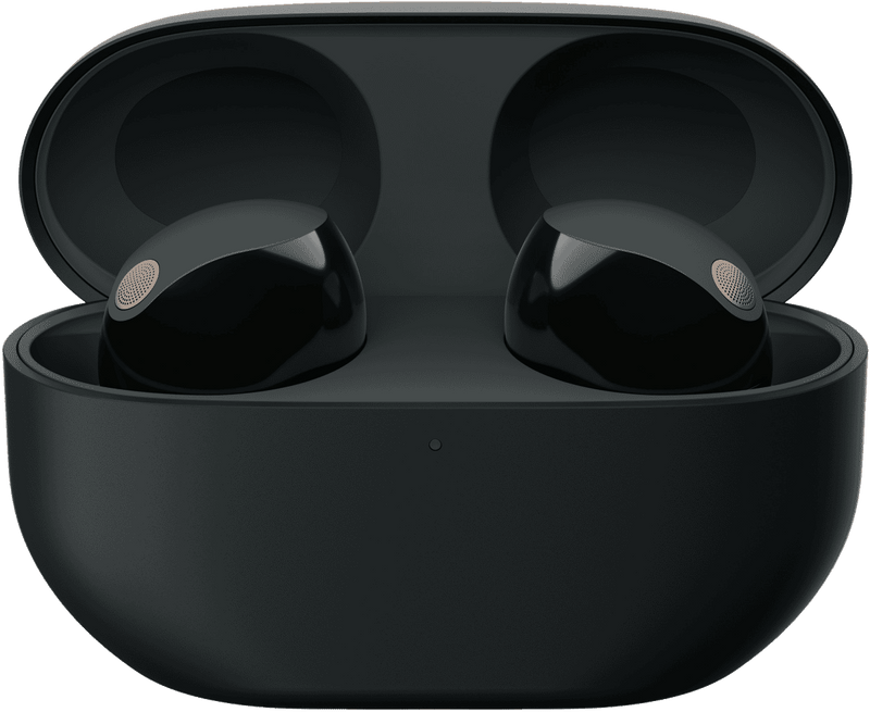 Sony Premium Noise Cancelling Earbuds