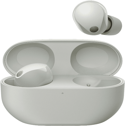 Sony Premium Noise Cancelling Earbuds - Silver