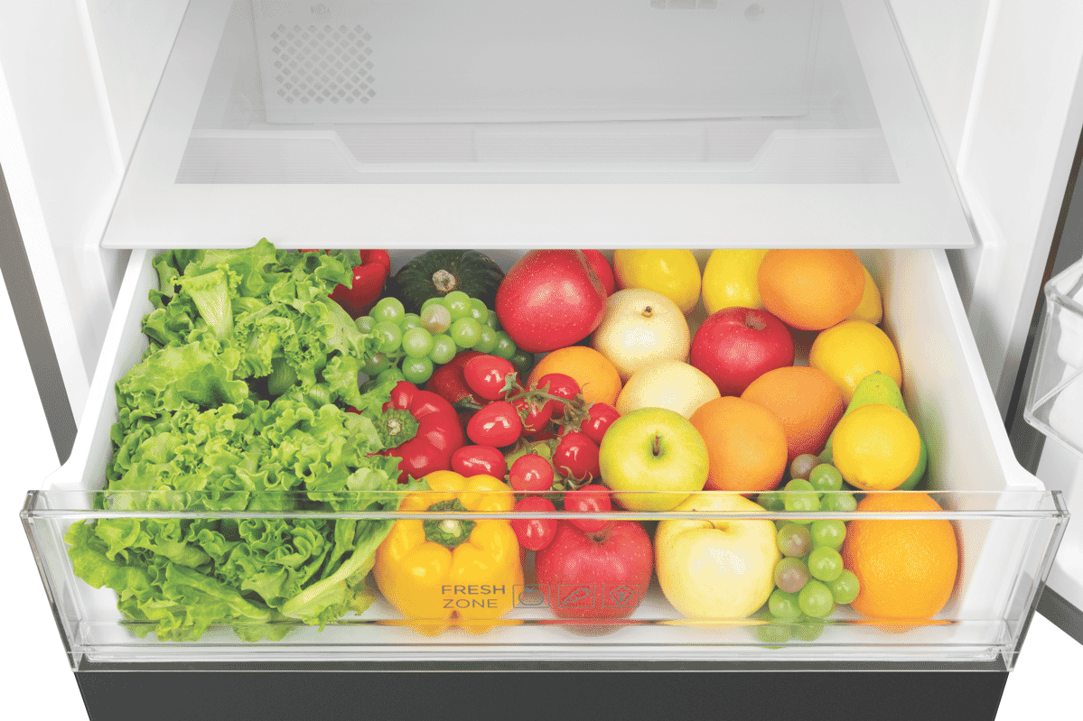 TCL 416L Bottom Mount Refrigerator - Layaway AU