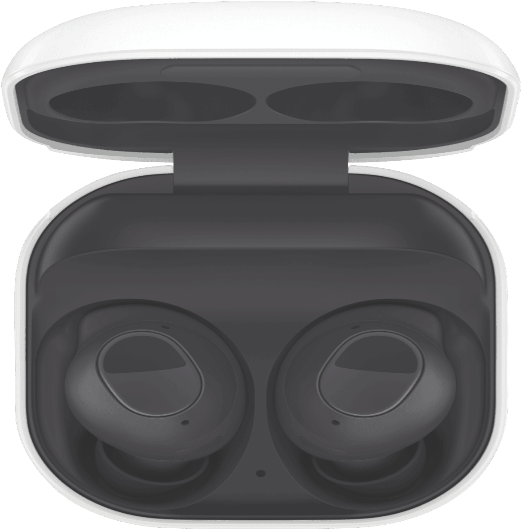 Samsung Galaxy Buds FE - Graphite