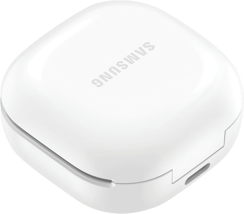 Samsung Galaxy Buds FE - Graphite